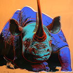 Rhino - Andy Warhol